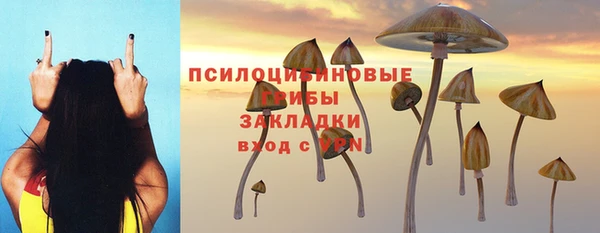 а пвп мука Белокуриха