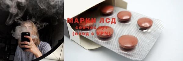 ГАЛЛЮЦИНОГЕННЫЕ ГРИБЫ Беломорск