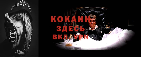 ГАЛЛЮЦИНОГЕННЫЕ ГРИБЫ Беломорск