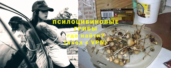 а пвп мука Белокуриха