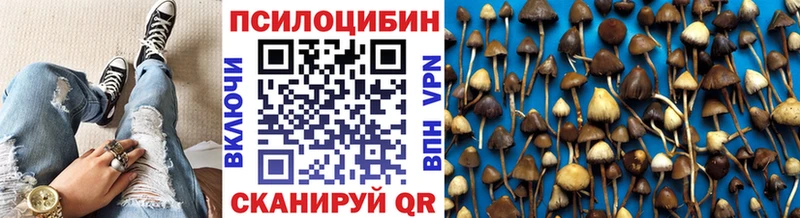 Псилоцибиновые грибы Magic Shrooms  kraken сайт  Бородино 